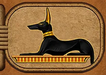 Jackal